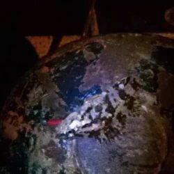 林崎漁港でライトゲーム　アナハゼにタケノコメバル