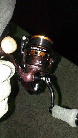 貝塚で今年初メバリング釣行　ガシラの釣果