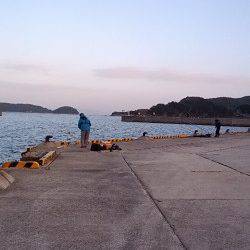 加太漁港へ初釣り　投げ釣りにサビキにメバリング