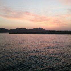 和歌山マリーナシティ　釣友とのエギング釣行でコウイカがヒット