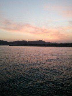 和歌山マリーナシティ　釣友とのエギング釣行でコウイカがヒット