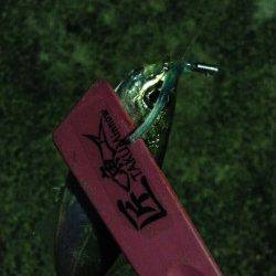 岸和田周辺でアジング、ボトムでスローリトリーブにヒット