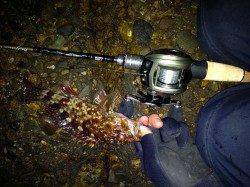 ベイトタックルでガシリング、風もなく絶好のコンディションでした