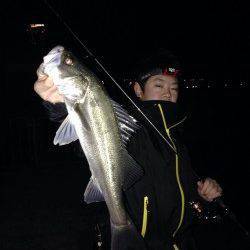 りんくう周辺でシーバス&メバリング