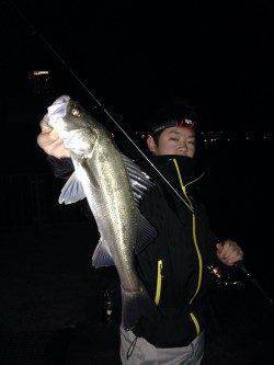 りんくう周辺でシーバス&メバリング