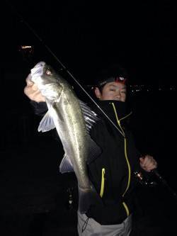 りんくう周辺でシーバス&メバリング…