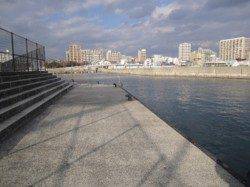 垂水漁港　ウキ釣り＆メバリングでメバル狙い☆