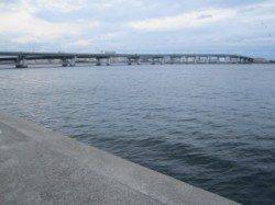 エビ撒き釣りでセイゴの釣果、次回はサイズUPに期待