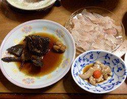 姫路 テトラの穴釣りで根魚狙い 23cmの良型ガッシーも