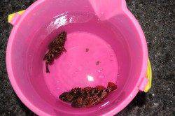 網干浜北東面でメバリング、ヒットはあったので 結構楽しめた。