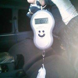 今年初アオリイカはジャスト1kg！