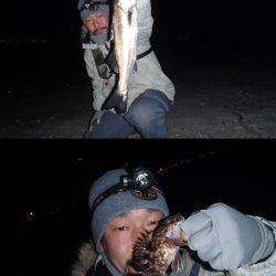 田尻漁港　メバリングのちアジングでシーバス・ガシラ☆