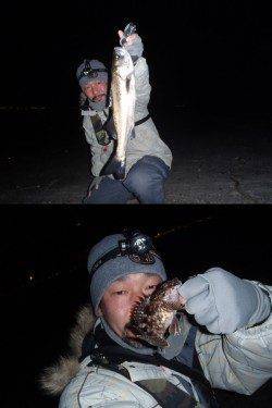 田尻漁港　メバリングのちアジングでシーバス・ガシラ☆