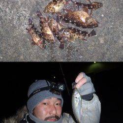 田尻漁港　メバリングのちアジングでシーバス・ガシラ☆