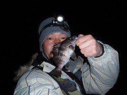 樽井漁港でメバリング、フロートリグでゲット