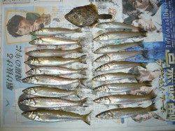 由良成が島水道へ新年初キス釣行、快適なスタート！