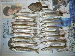 由良成が島水道へ新年初キス釣行、快適なスタ…