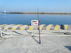 淡路島浦漁港でキスを狙って来ました