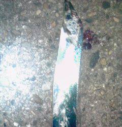 本荘人工島でのワインド釣果