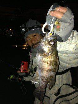 どこへ行くも爆風で３カ所目でなんとかメバルゲット！