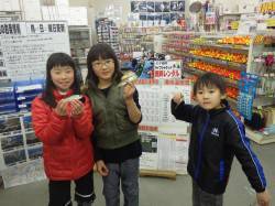 ファミリーサビキ釣果♪ in 田辺・新芳養…