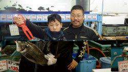 少年フカセ師が大物をゲット！ 天神崎のチヌ釣果