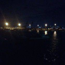 新浜漁港でのガシリング釣果