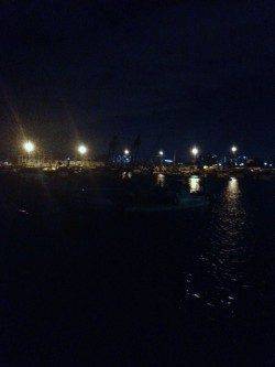 新浜漁港でのガシリング釣果