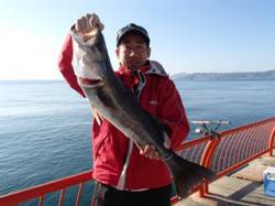 平磯海づり公園、ウキ釣りでスズキの記録賞♪…