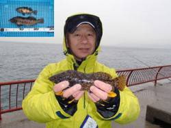 平磯海づり公園、投げ釣りでアイナメ＆メバル…