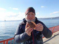 【10日】平磯海づり公園でガシラ　エサはアオムシ