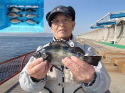 平磯海づり公園でウキ釣り　メバル&…