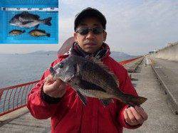 平磯海づり公園、チヌに根魚　シラサエビのウキ釣りにて