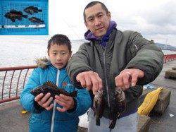平磯海釣り公園　ウキ釣りでメバルの釣果