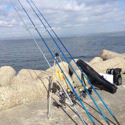 カレイ狙いで朝マヅメ深日港に、時期的にも厳しいか・・・