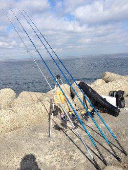 カレイ狙いで朝マヅメ深日港に、時期的にも厳しいか・・・