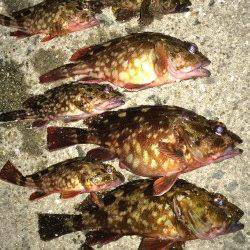 ガシリング、底中心に攻め飽きずに楽しめました！