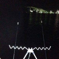 ぶっこみ釣りでアナゴとガシラの釣果