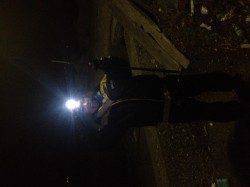 淡路島の伊毘にウキ釣り釣行、3人で計50匹ほどの釣果