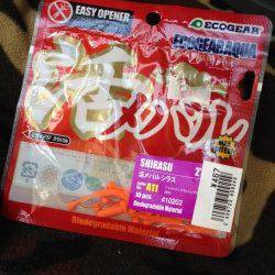 朝マヅメ狙いで大蔵海岸へガシリング