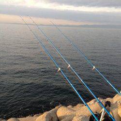 貝塚人工島のカレイ狙いでアナゴの釣果、次こそは仕留めます！