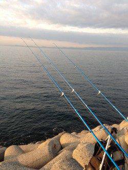 貝塚人工島のカレイ狙いでアナゴの釣果、次こそは仕留めます！