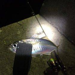 田ノ浦漁港アジング18cmあたまに7匹