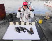 黒島の磯・鷹島のカンドリでのフカセ釣果