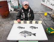 【4日】鷹島のカンドリでのグレ・チヌ釣果