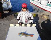 黒島の磯でイガミ43㎝