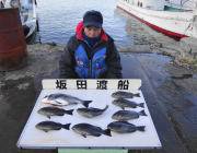 鷹島のカンドリ、チヌ・グレともに釣れていま…