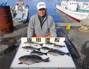 鷹島のカンドリで、48cmの立派なグレ！