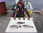 鷹島のカンドリにてフカセ釣りでチヌ&…
