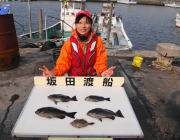 鷹島のカンドリにてフカセ釣りでチヌ&グレ